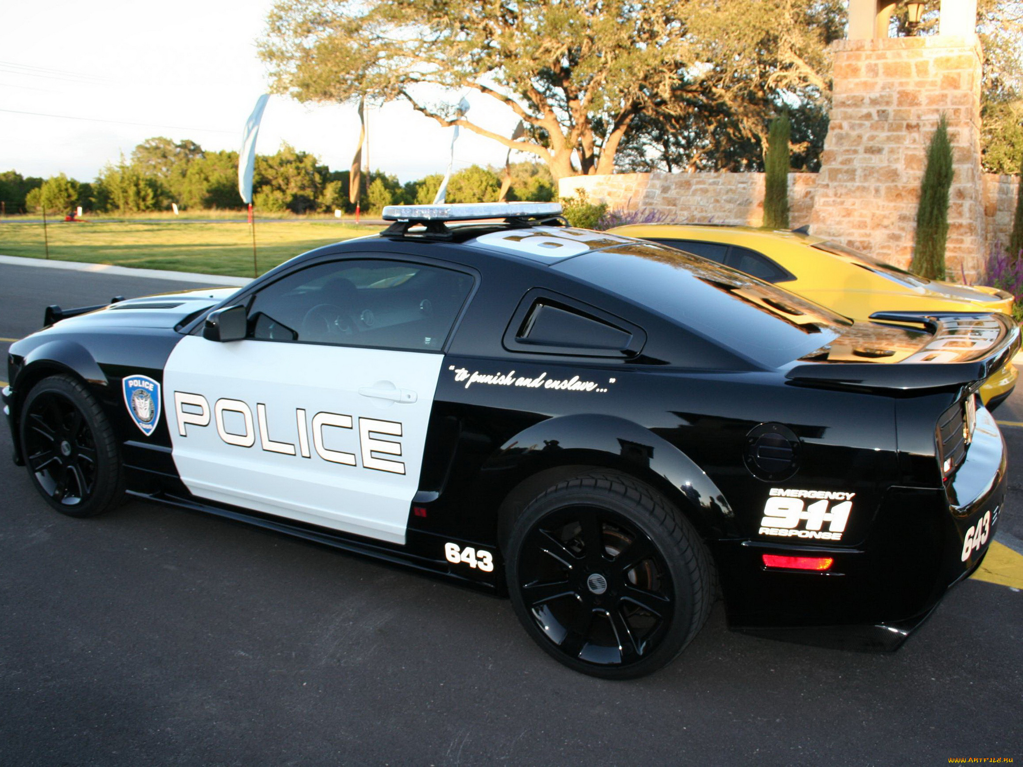 автомобили, разные, вместе