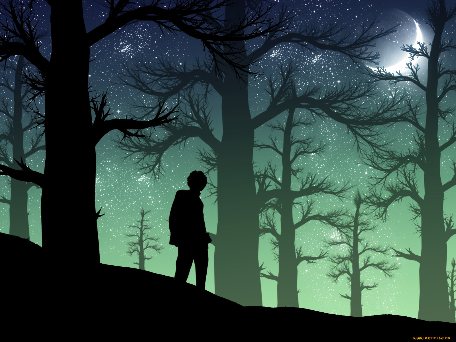 векторная, графика, лес, человек