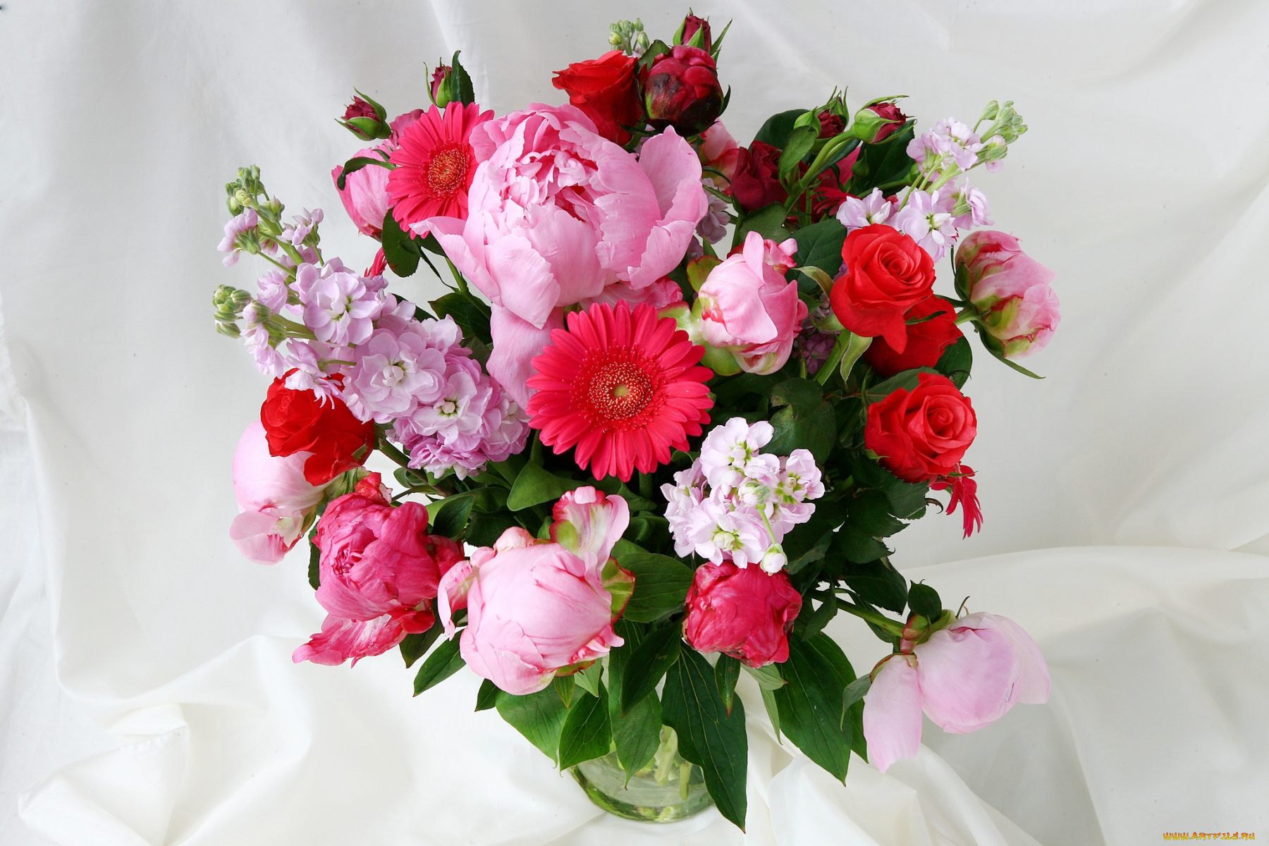 цветы, букеты, композиции, левкой, матиола, розы, герберы, пионы