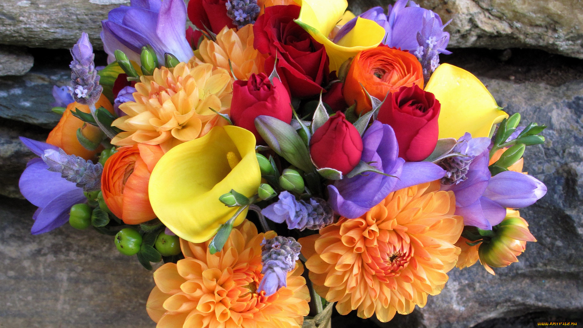 цветы, букеты, композиции, букет