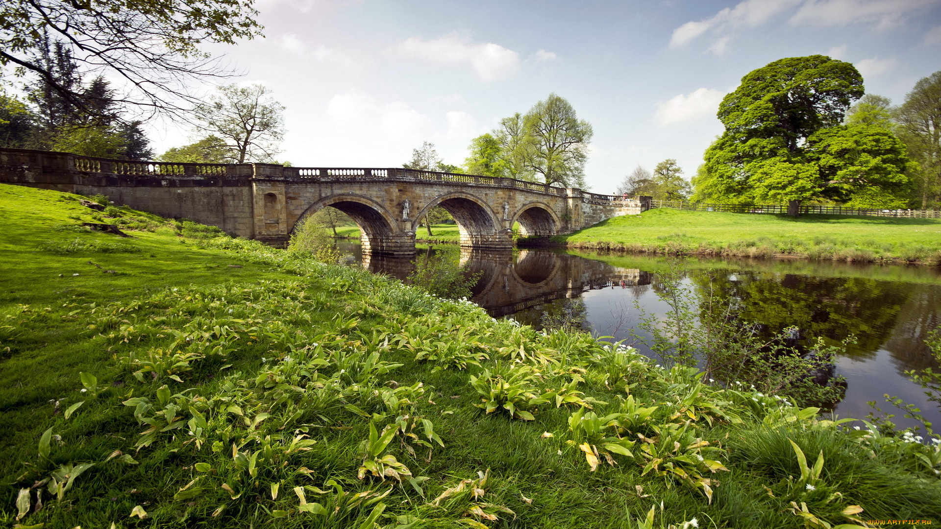 города, мосты, река, мост, трава, пейзаж