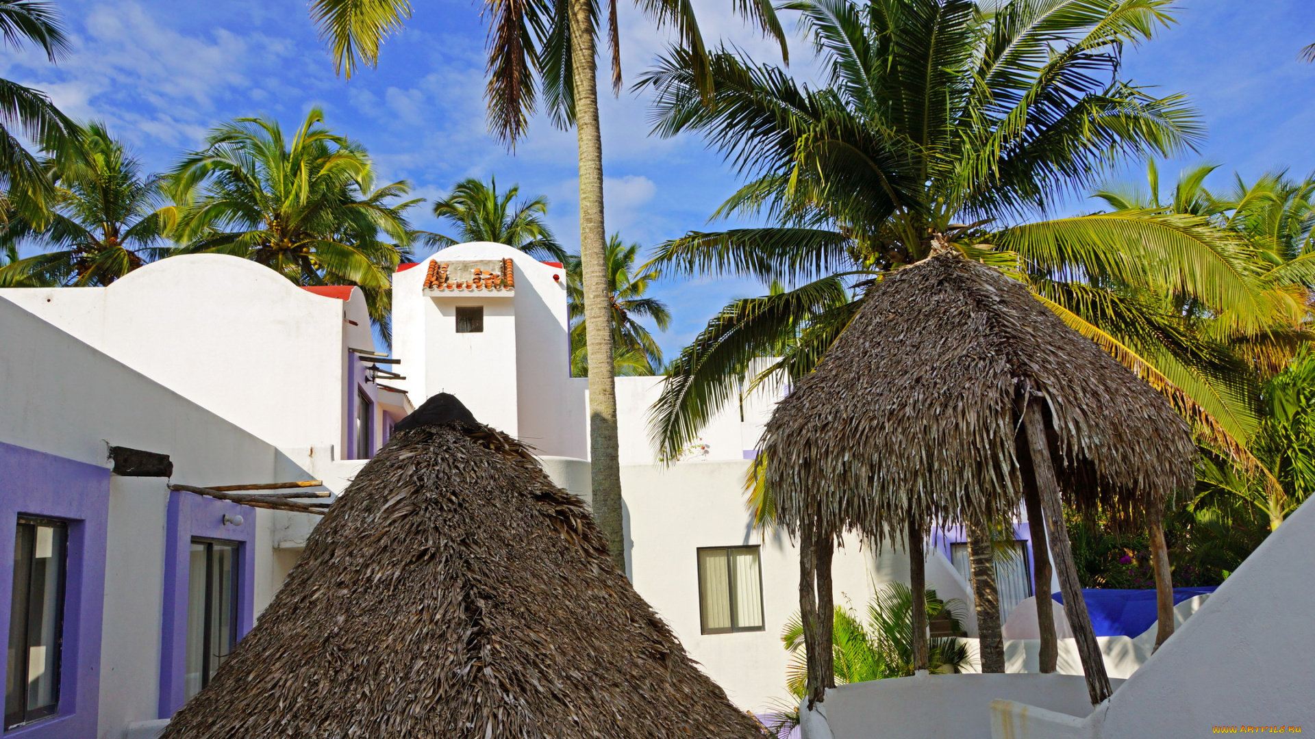 мексика, веракрус, города, улицы, площади, набережные, пальмы, домики