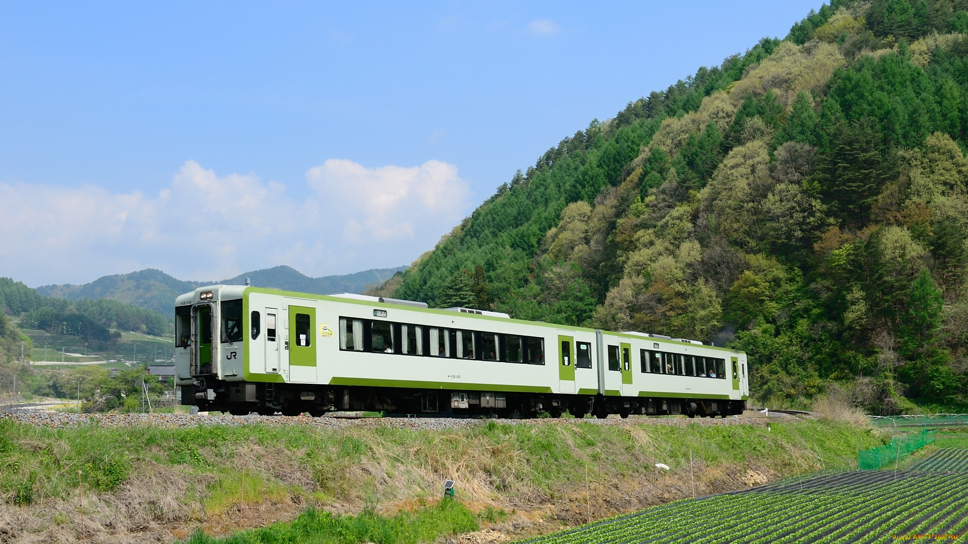 техника, электрички, горы, лес, поезд