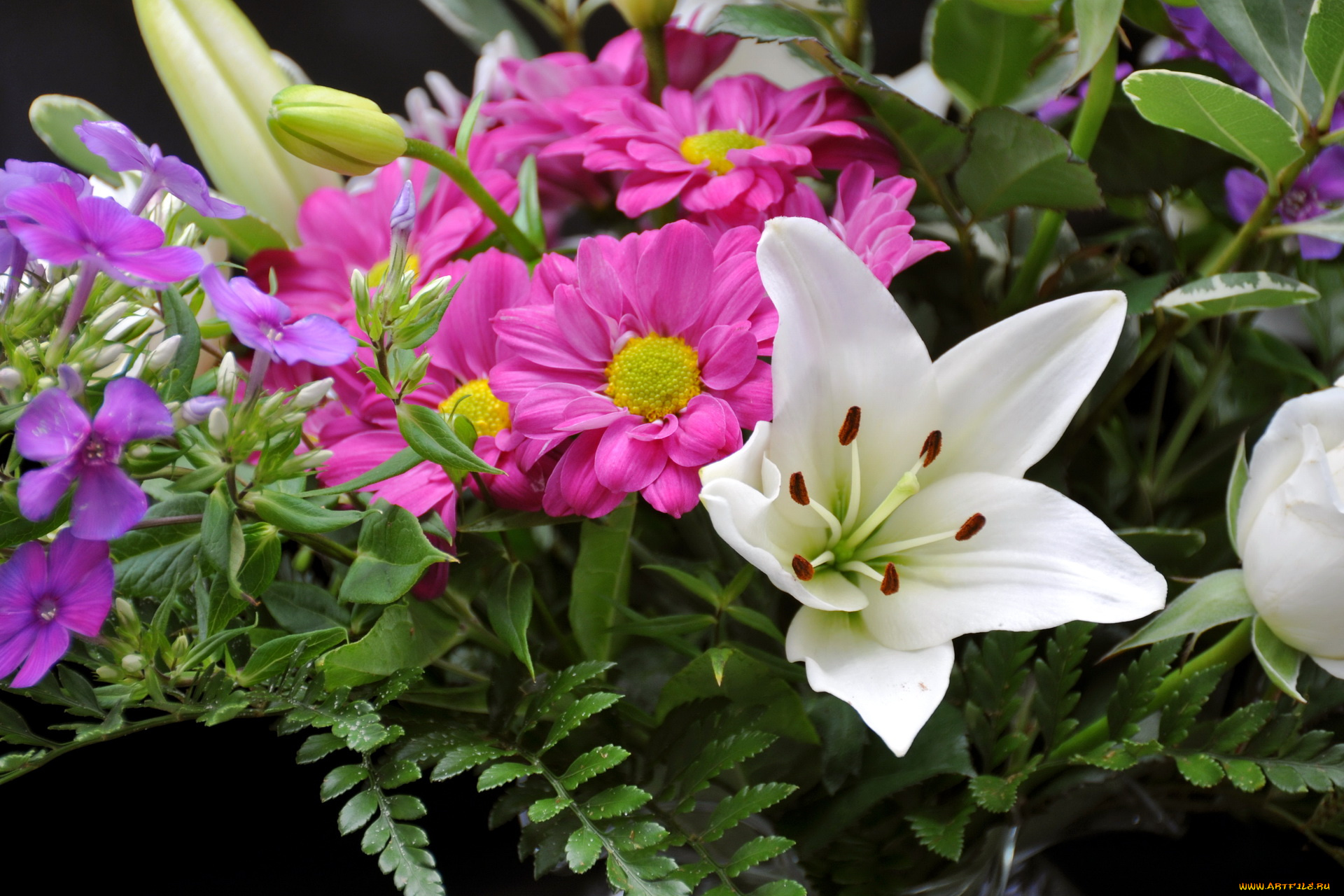 цветы, букеты, композиции, лилии, ромашки, петунья, букет