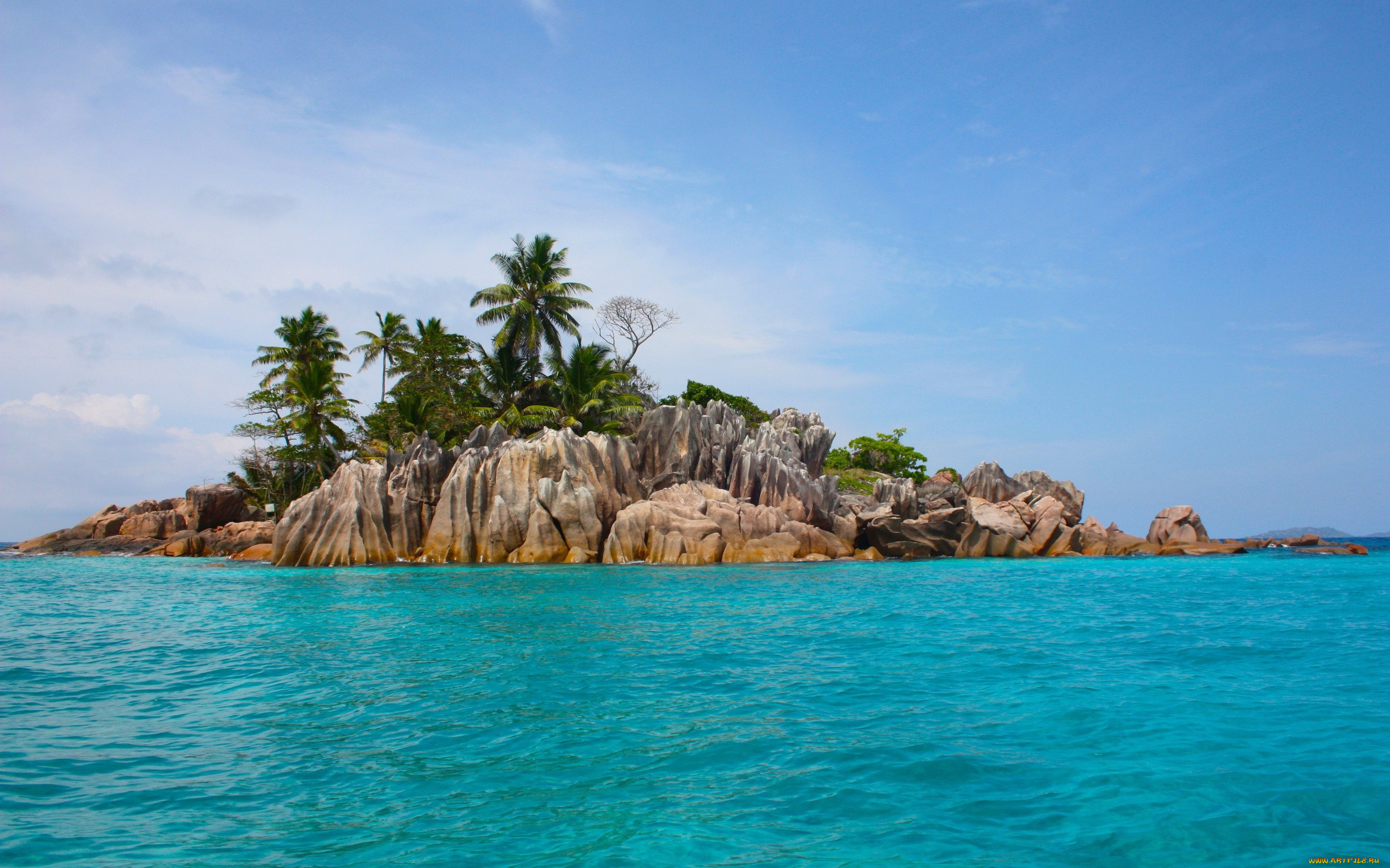 природа, побережье, пальмы, скалы, море