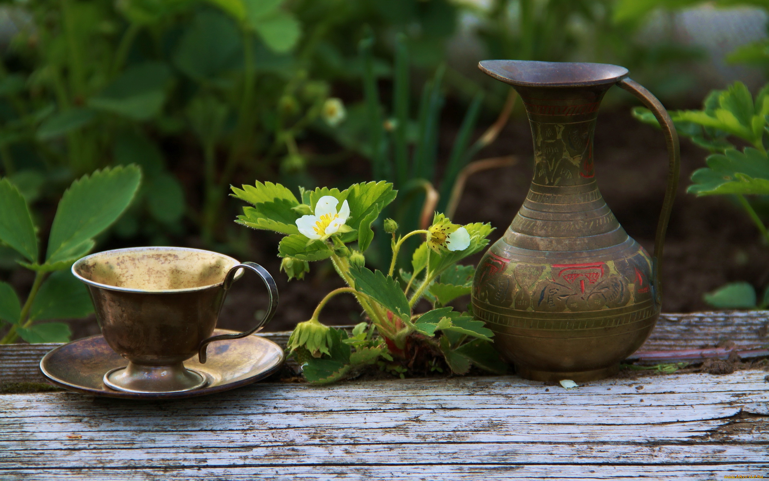 разное, посуда, столовые, приборы, кухонная, утварь, натюрморт, клубника, кувшин, чашка