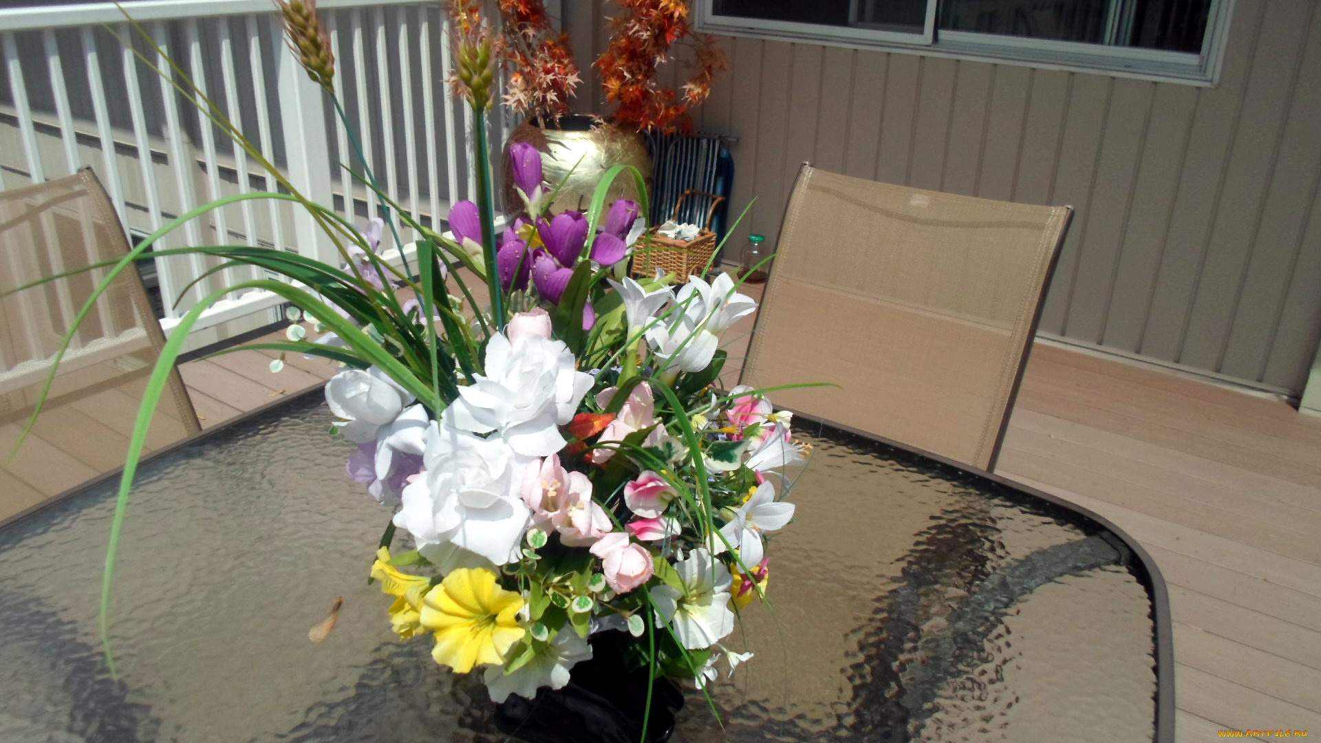 цветы, букеты, композиции, петуния