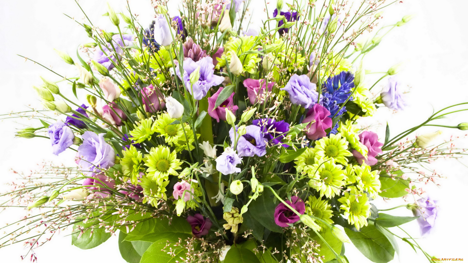 цветы, букеты, композиции, розы, герберы, букет