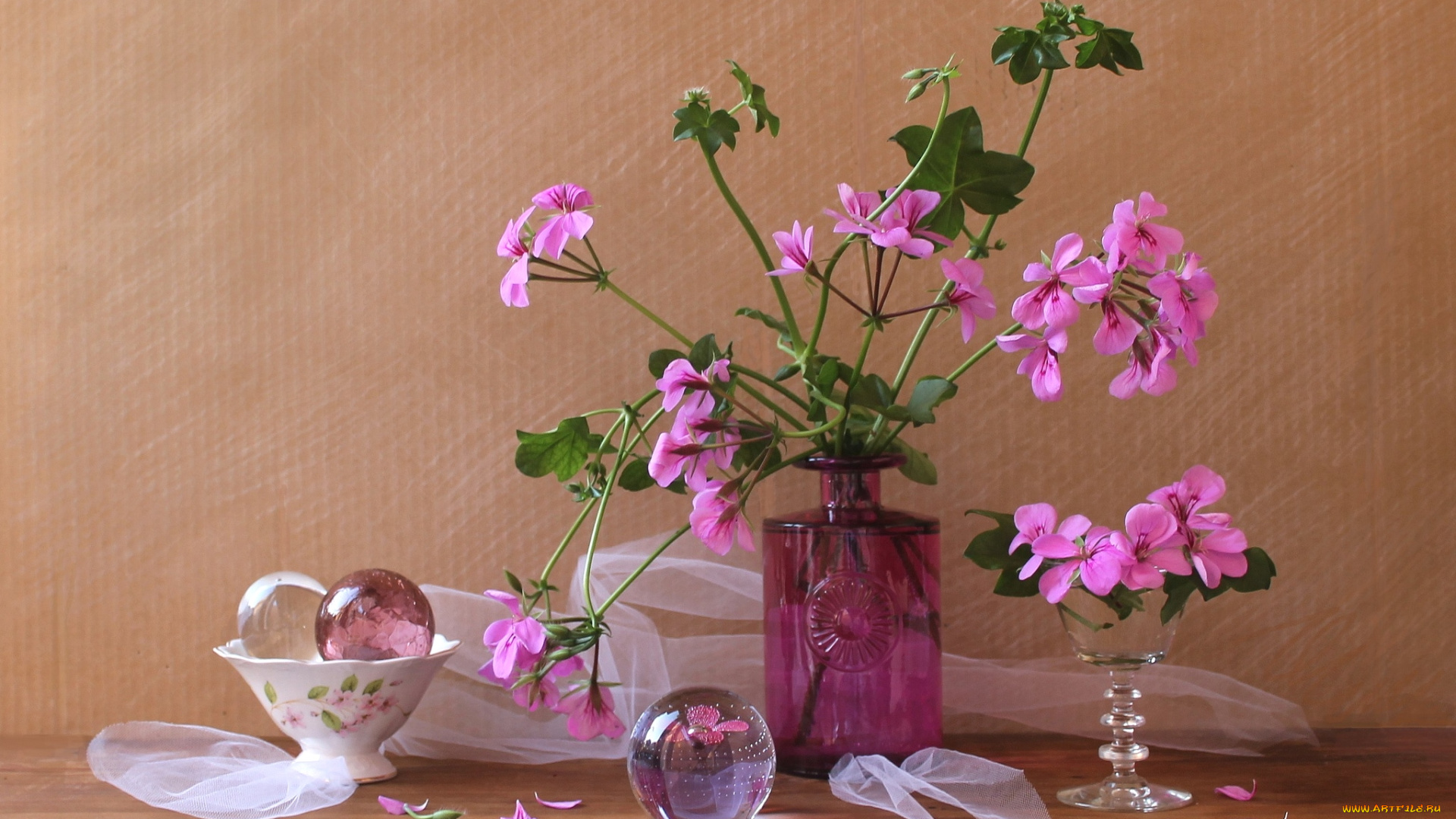 цветы, герань, розовый, бутылка