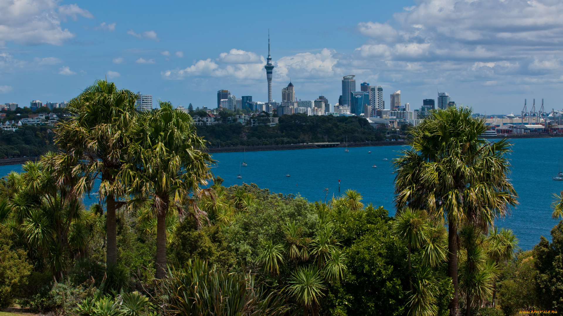 города, пейзажи, окленд, новая, зеландия