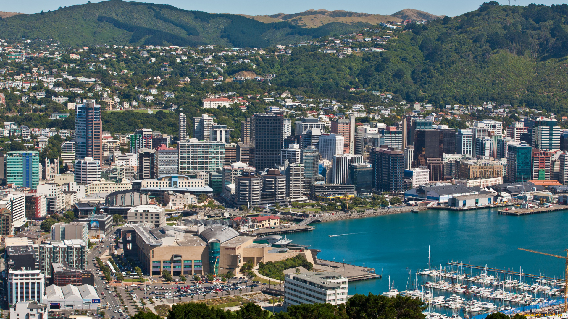 города, веллингтон, новая, зеландия, столица