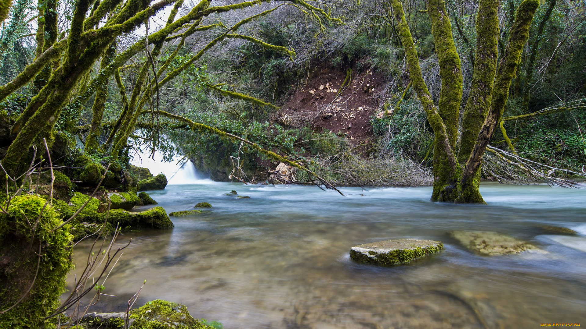 природа, реки, озера, река, камни, мох, лес