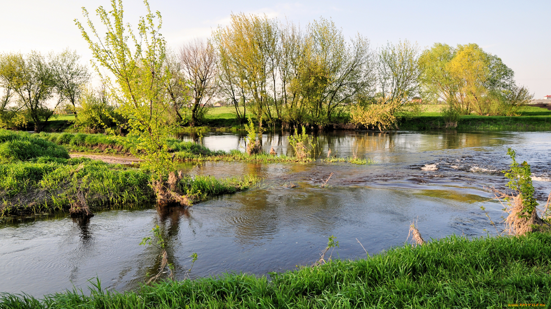 природа, реки, озера, весна, река, трава, разлив, деревья