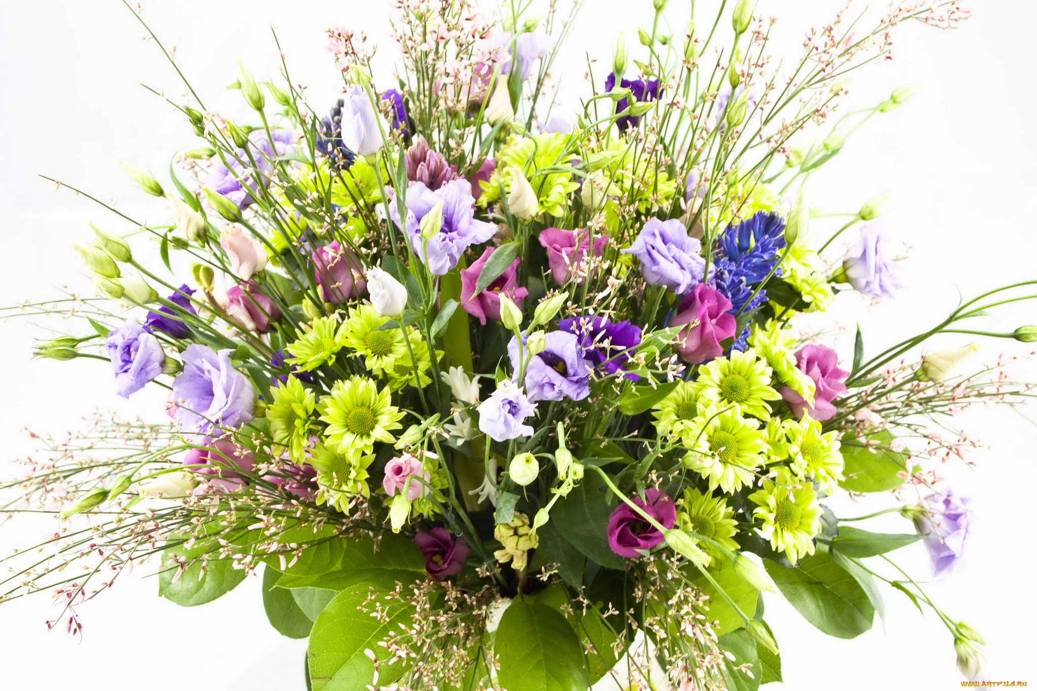 цветы, букеты, композиции, розы, герберы, букет