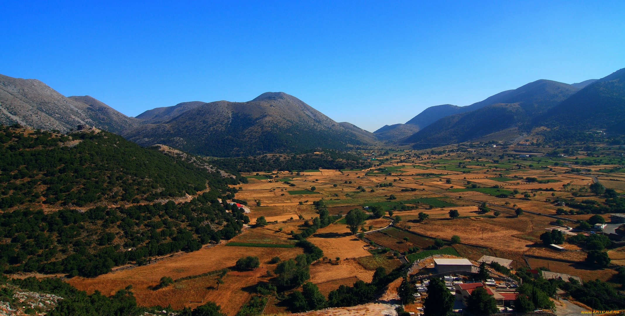 природа, поля, панорама, вид, сверху