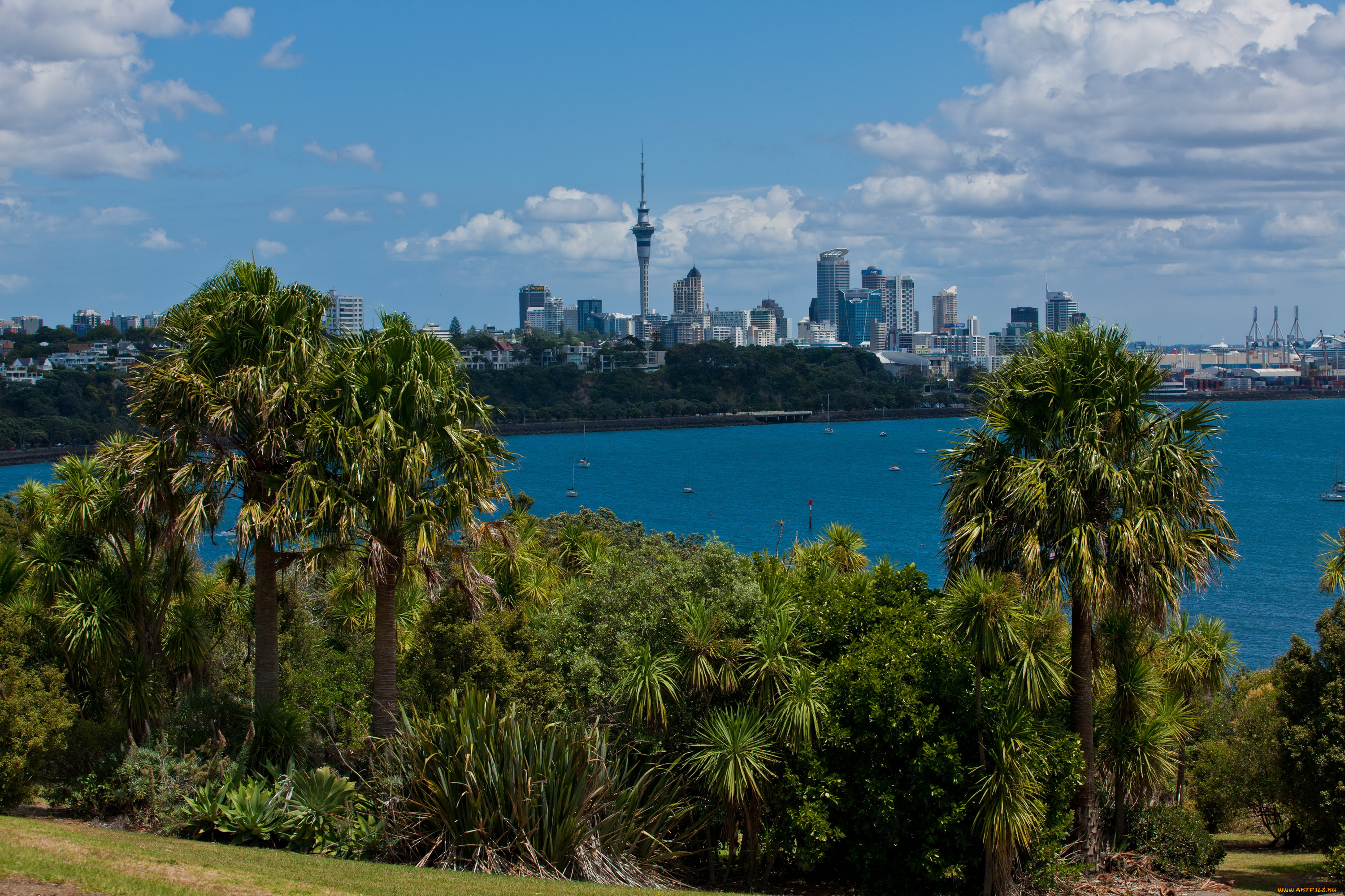города, пейзажи, окленд, новая, зеландия