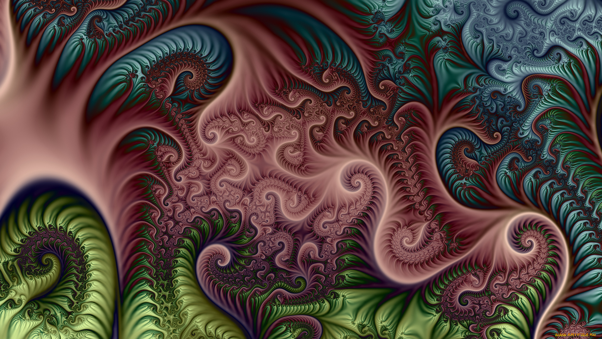3д, графика, fractal, , фракталы, цвета, фон, узор