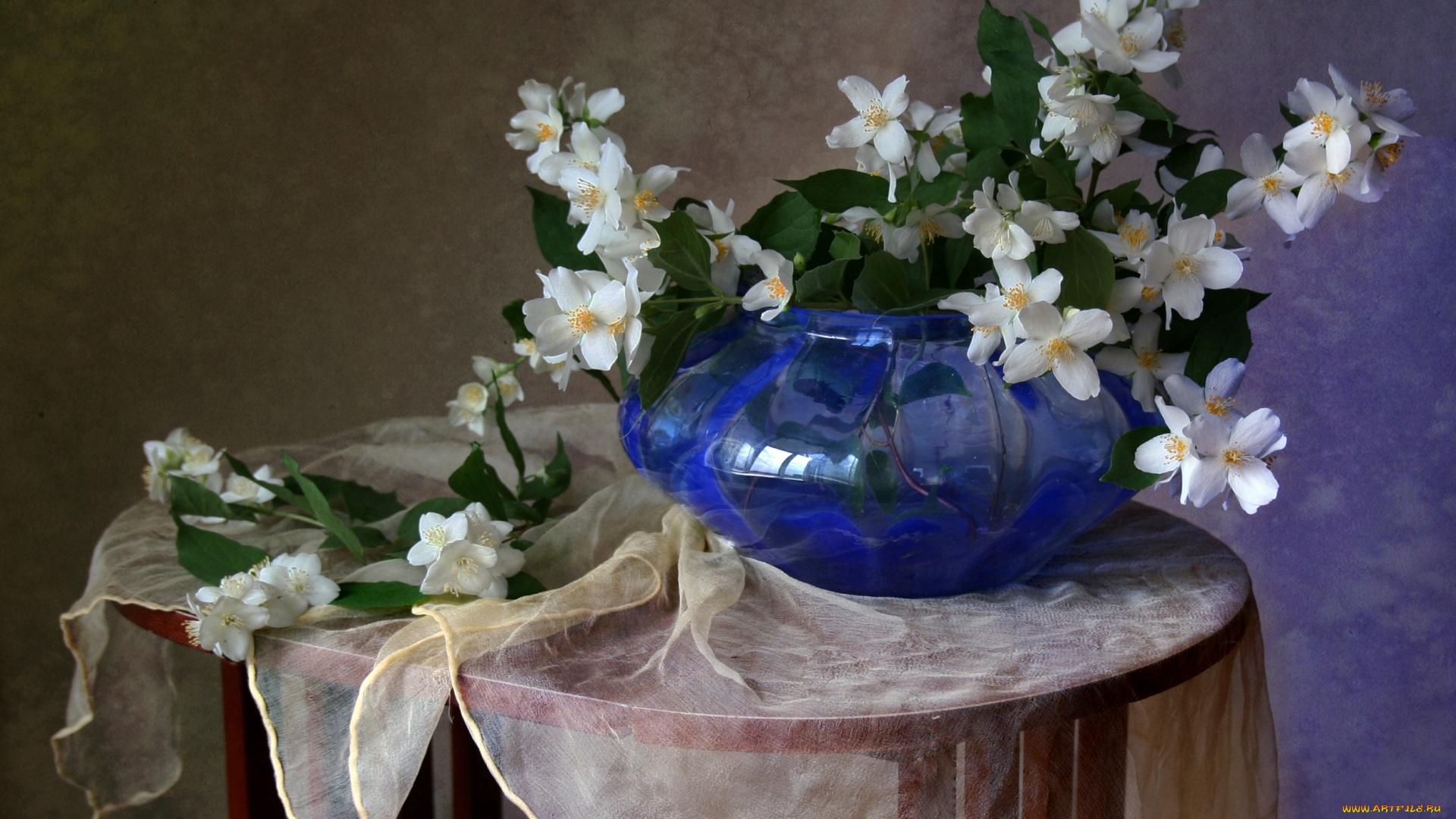 цветы, жасмин, ваза