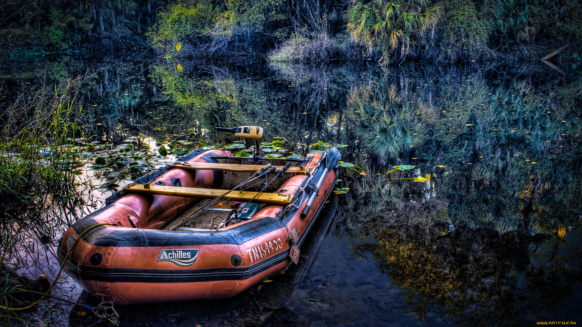 корабли, лодки, , шлюпки, река, заводь, лодка, мотор, удочки