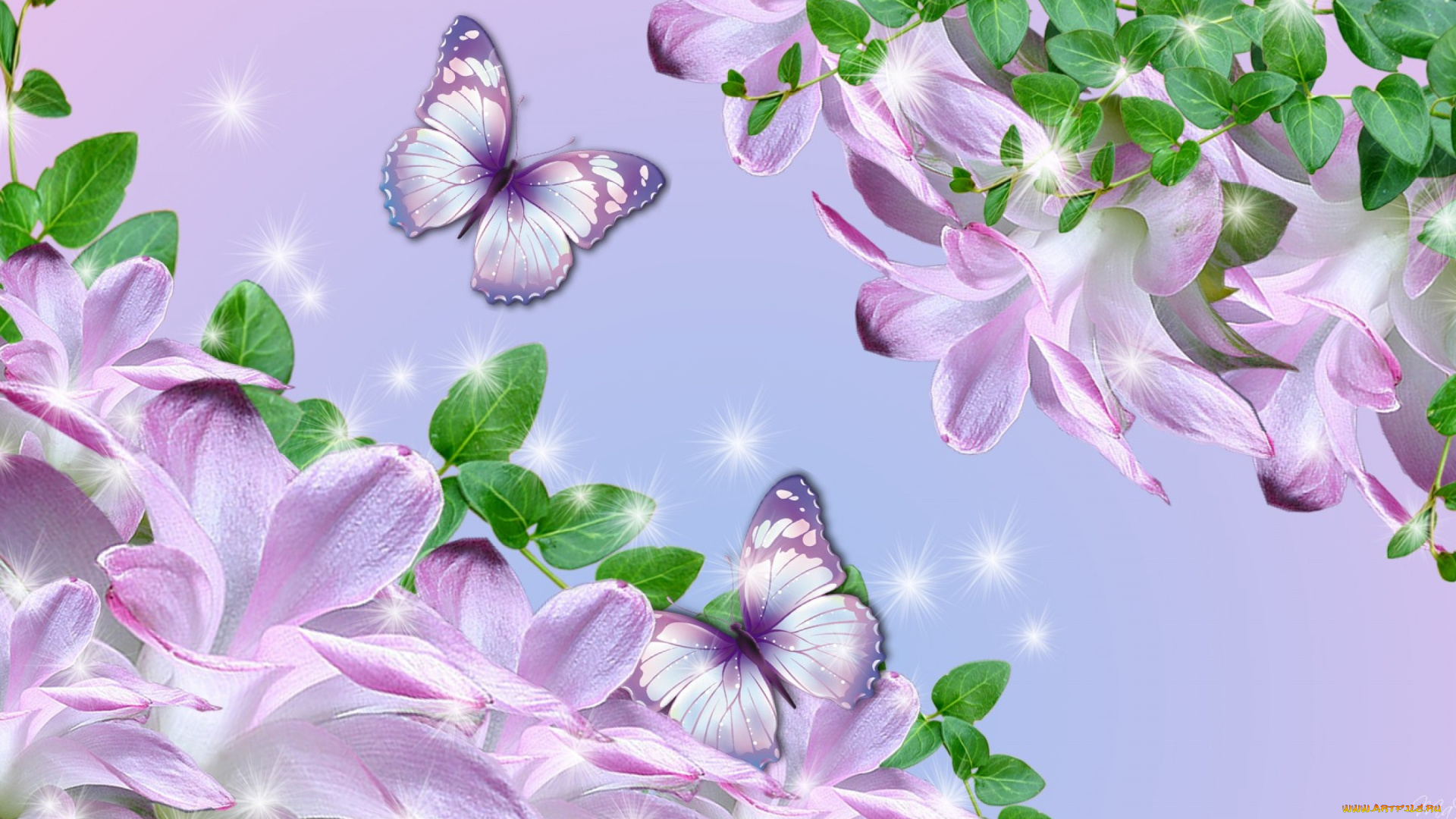 разное, компьютерный, дизайн, фон, бабочки, цветы