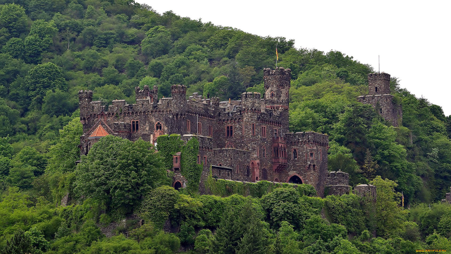 reichenstein, castle, , germany, города, -, дворцы, , замки, , крепости, замок, лес, склон, башни, стены