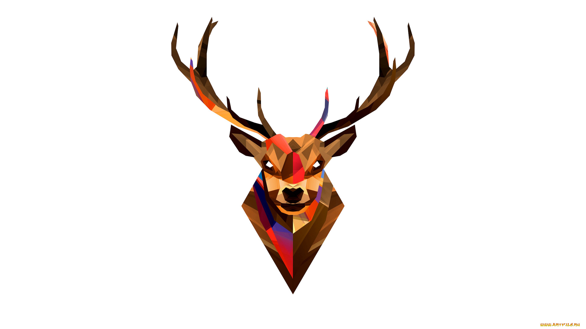 рисованные, минимализм, цвет, графика, рога, олень