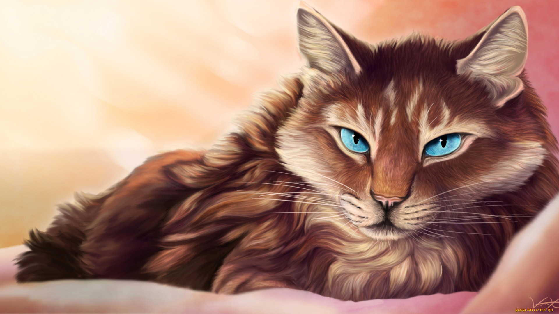 рисованные, животные, , коты, кот, взгляд