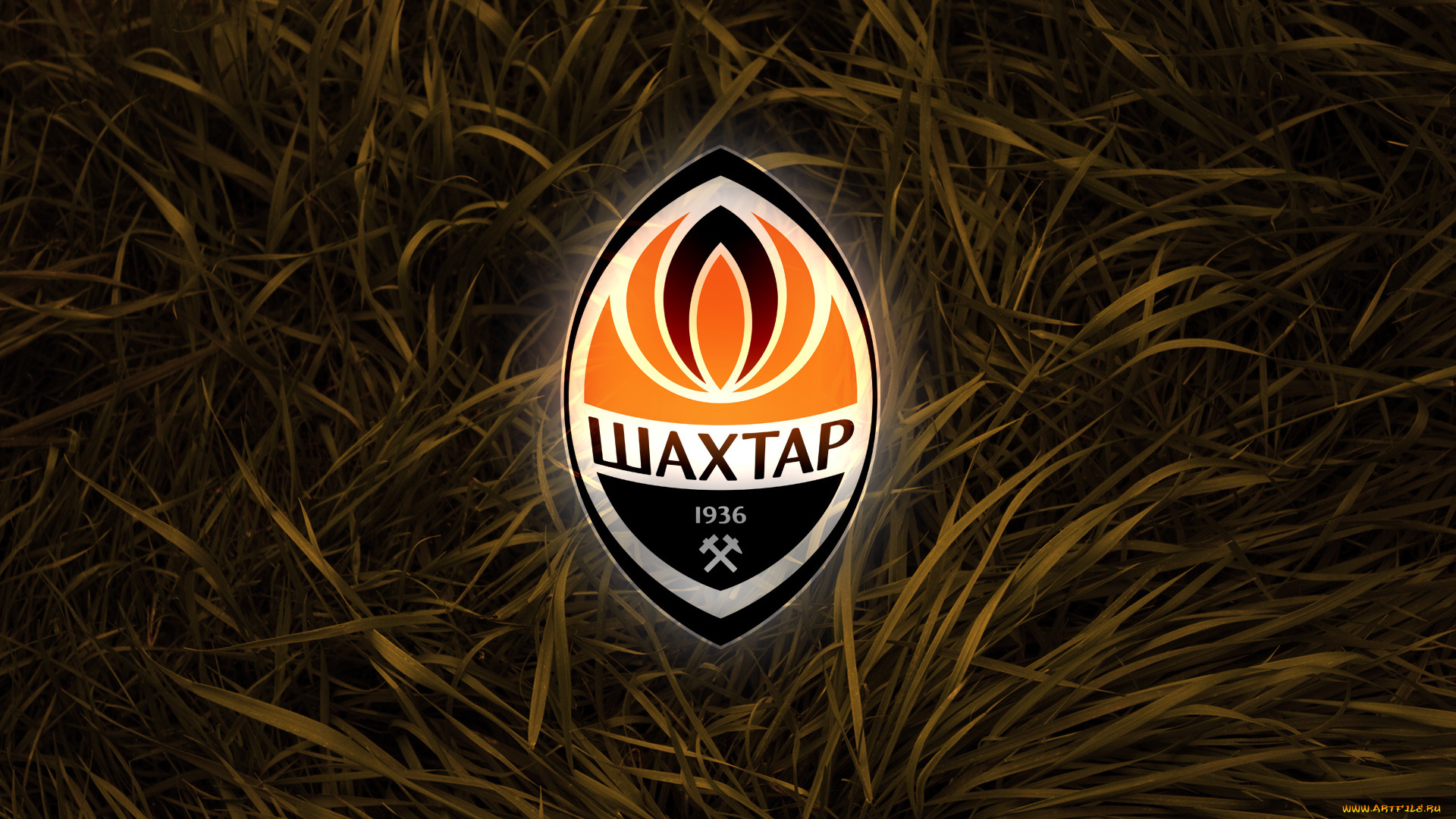 спорт, эмблемы, клубов, шахтар