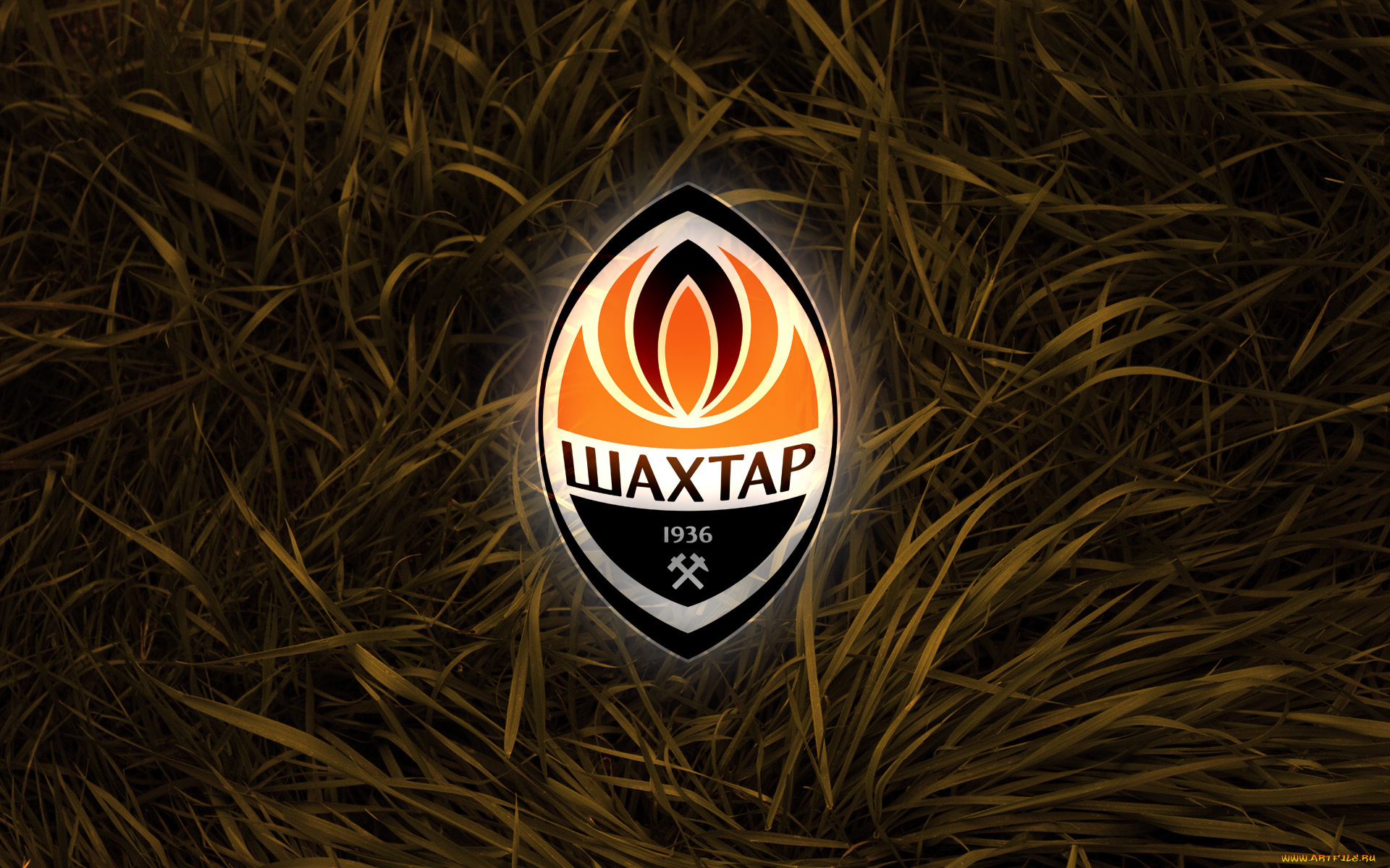 спорт, эмблемы, клубов, шахтар