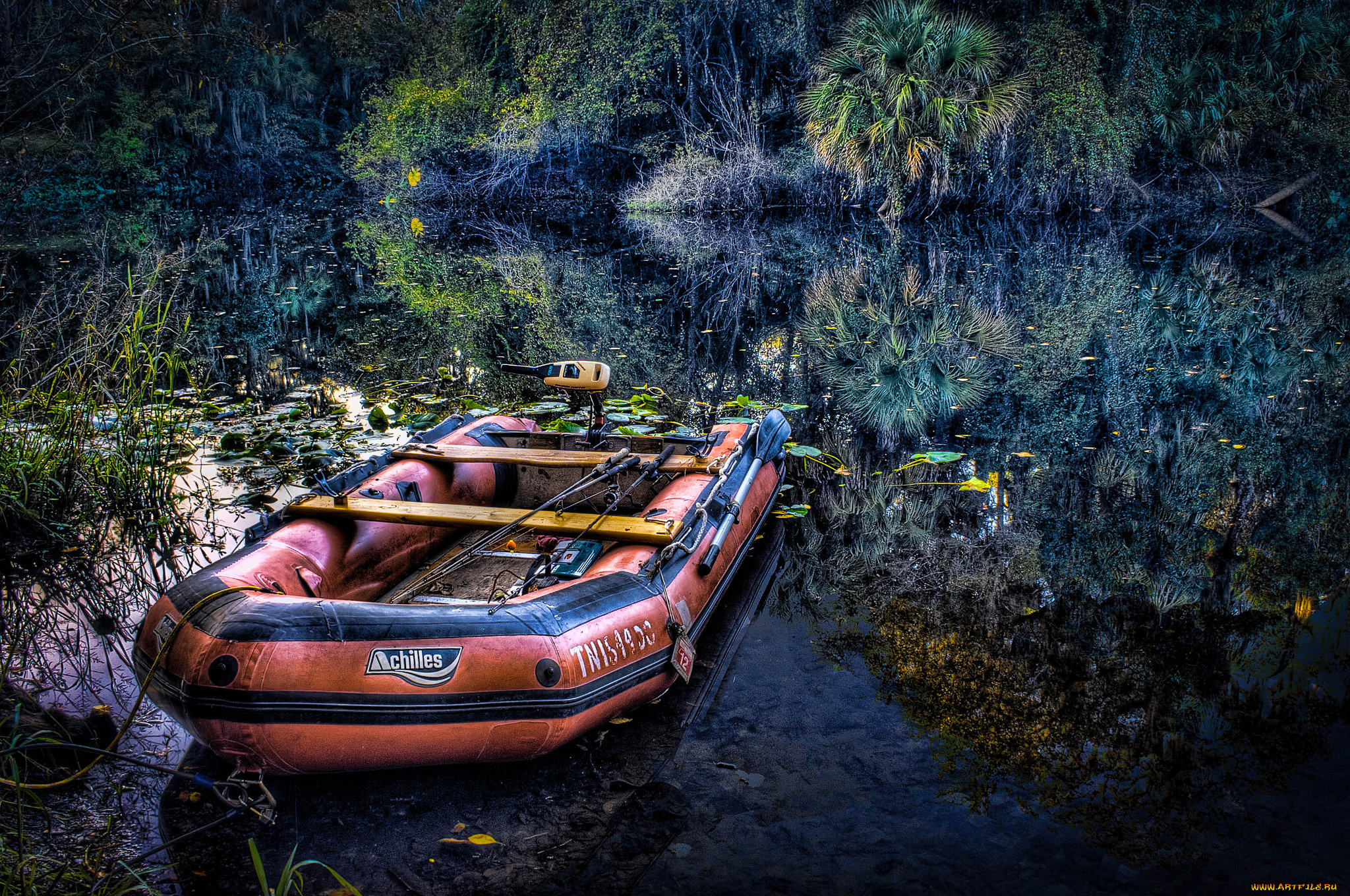 корабли, лодки, , шлюпки, река, заводь, лодка, мотор, удочки