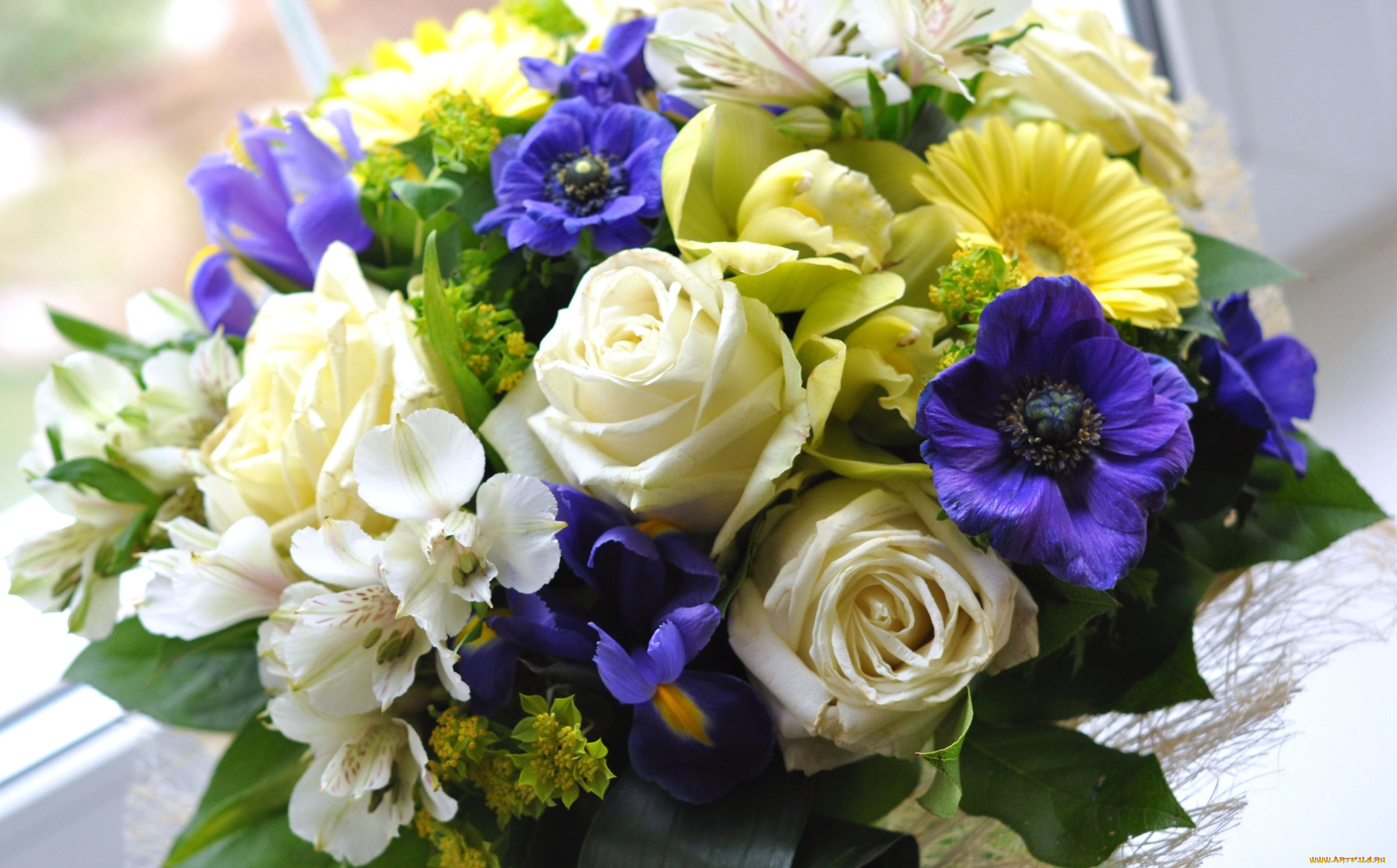 цветы, букеты, , композиции, герберы, розы, анемоны, орхидеи