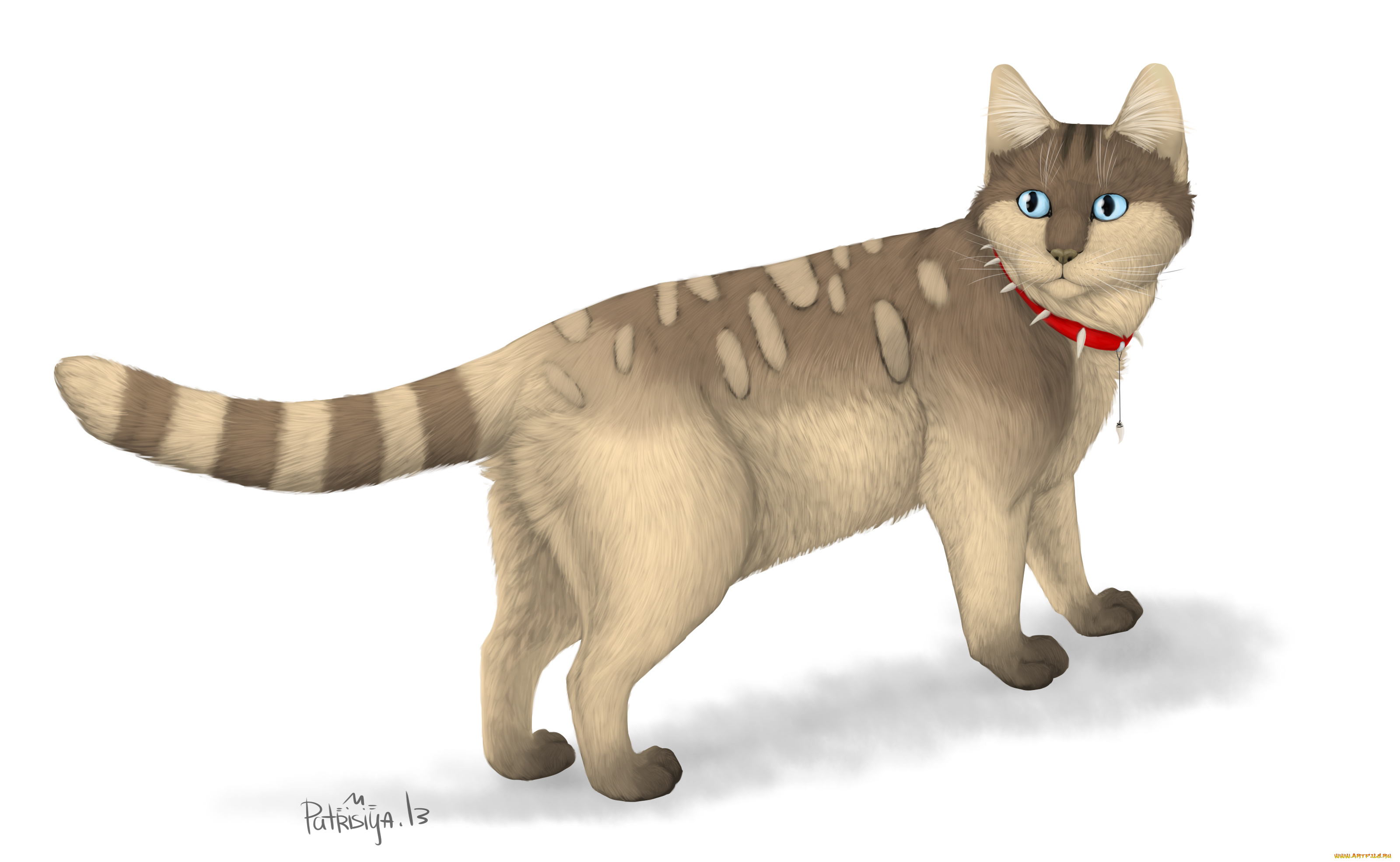 рисованные, животные, , коты, кот, взгляд