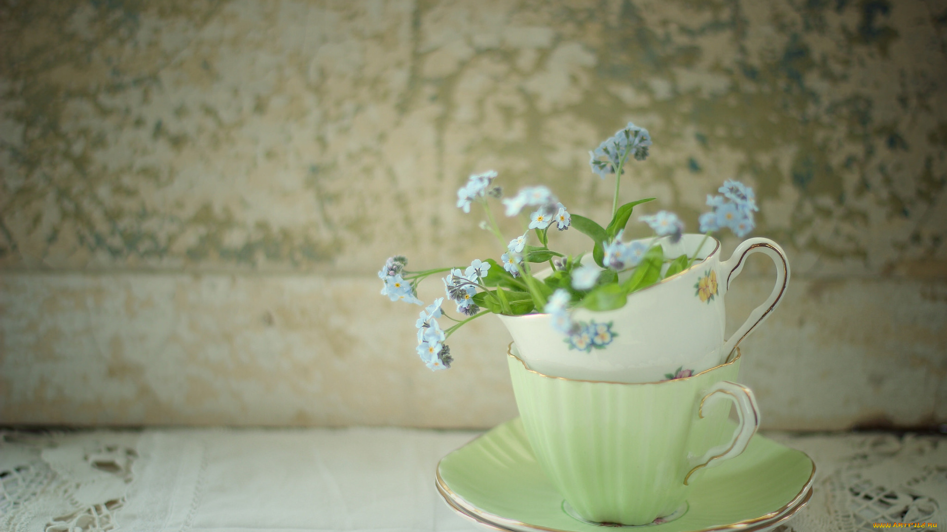 цветы, незабудки, чашка, макро, фон
