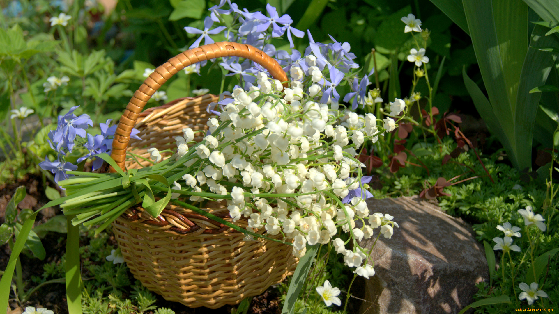 цветы, разные, вместе, ландыши, корзина, барвинок