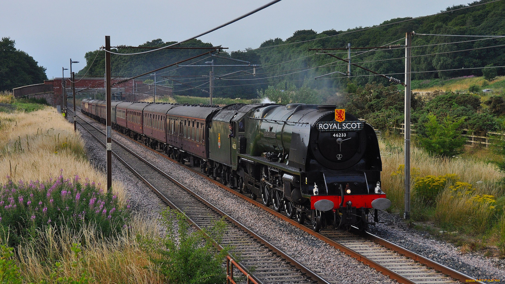 техника, паровозы, паровоз, рельсы, железная, дорога