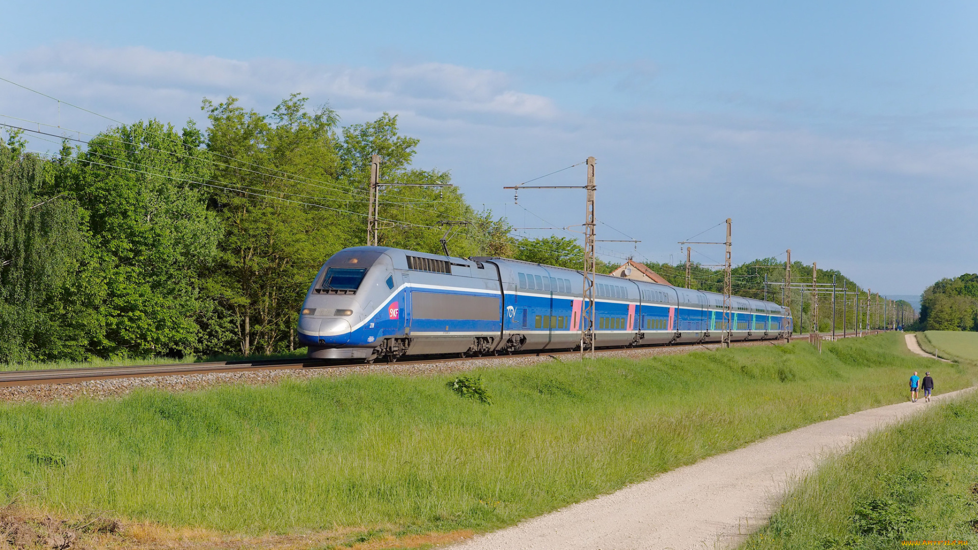 техника, поезда, скоростной, поезд