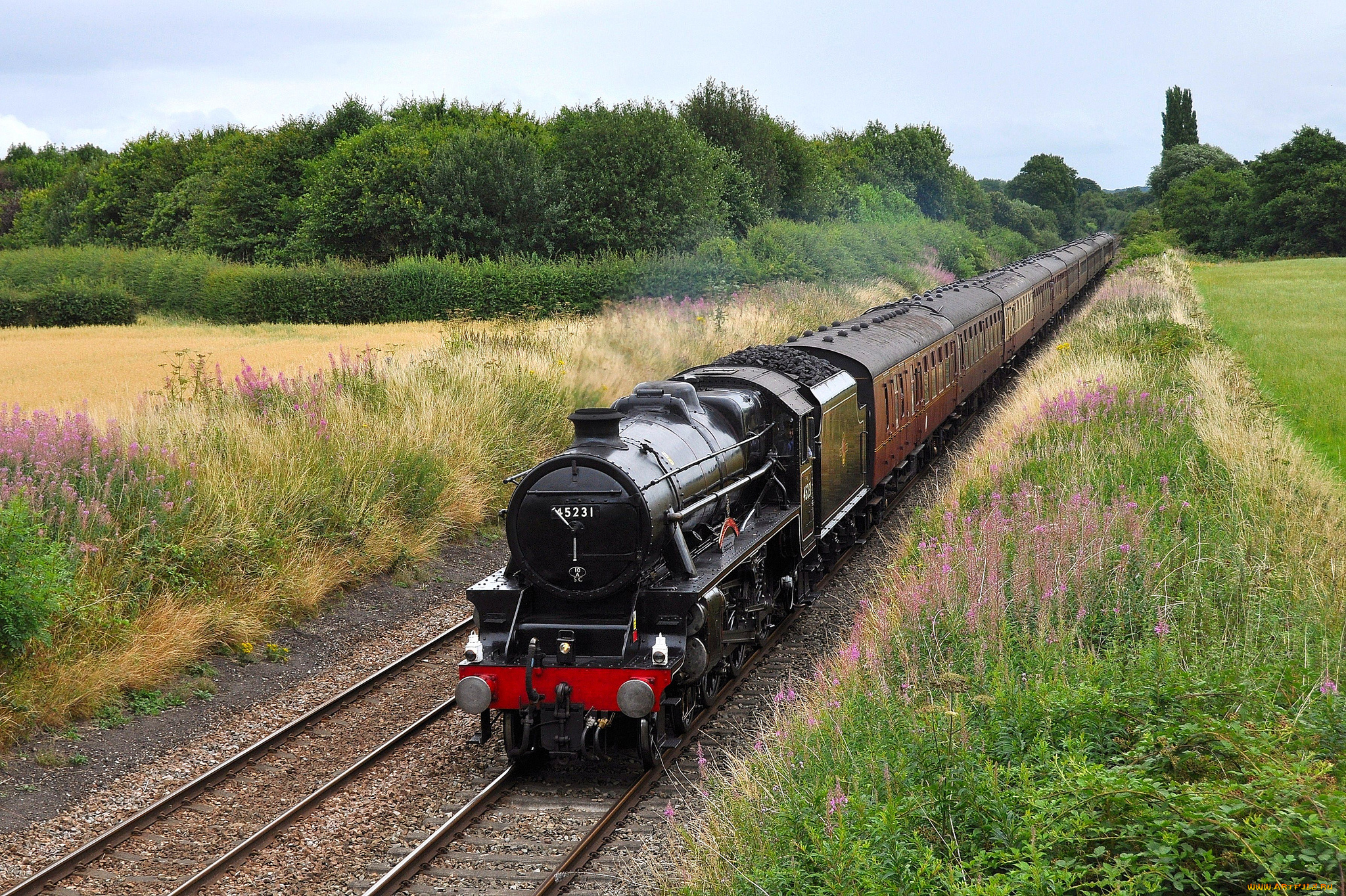 техника, паровозы, паровоз, рельсы, дорога, железная