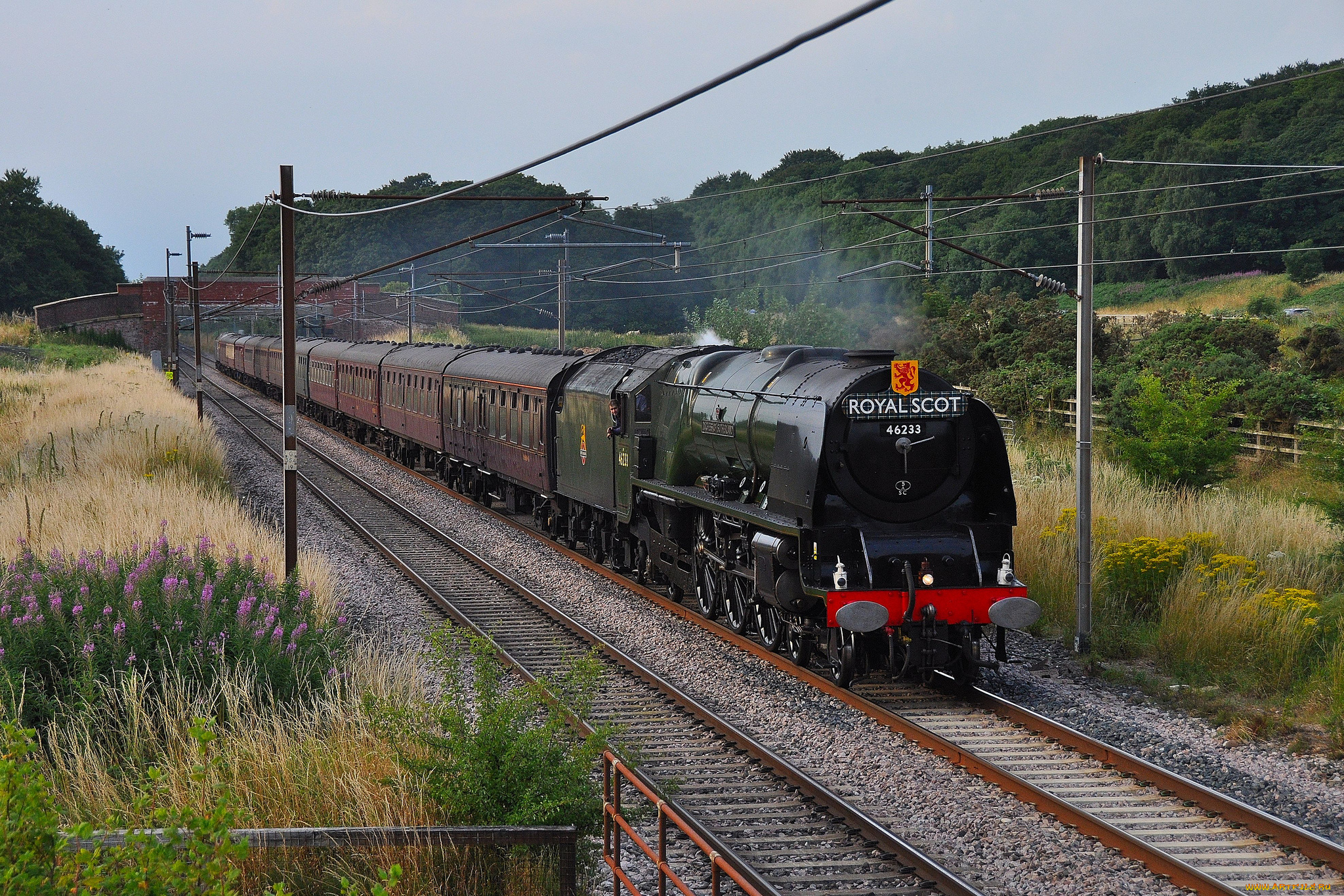 техника, паровозы, паровоз, рельсы, железная, дорога