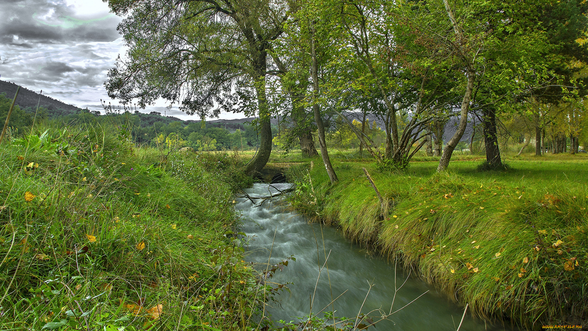 природа, реки, озера, лес, река