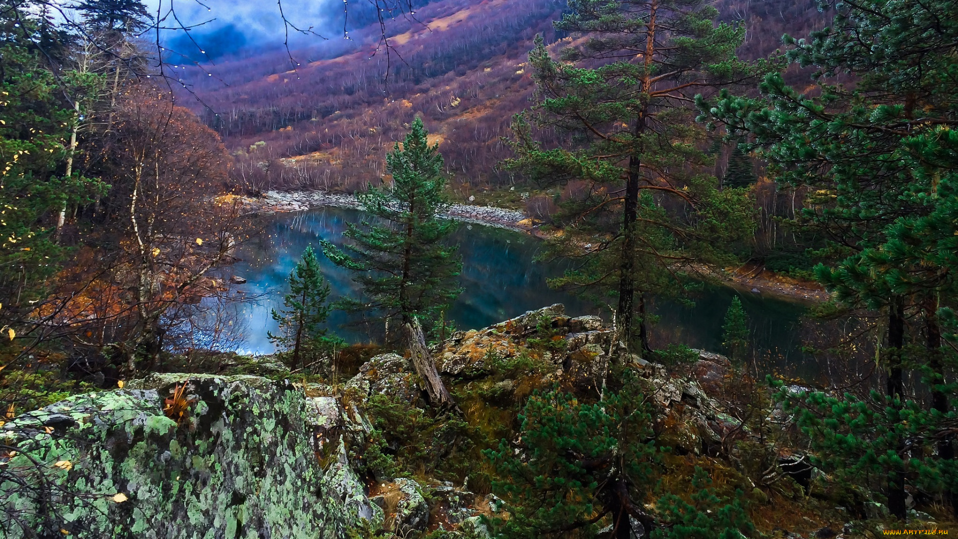 природа, реки, озера, лес, река