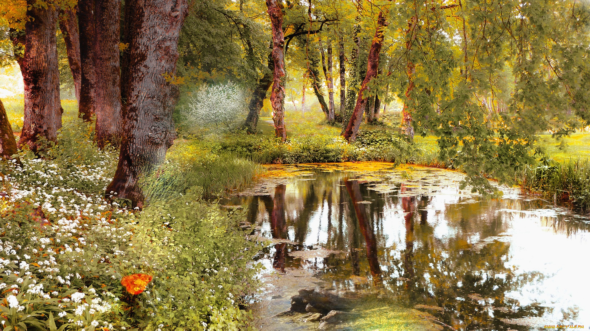 природа, реки, озера, река, лес