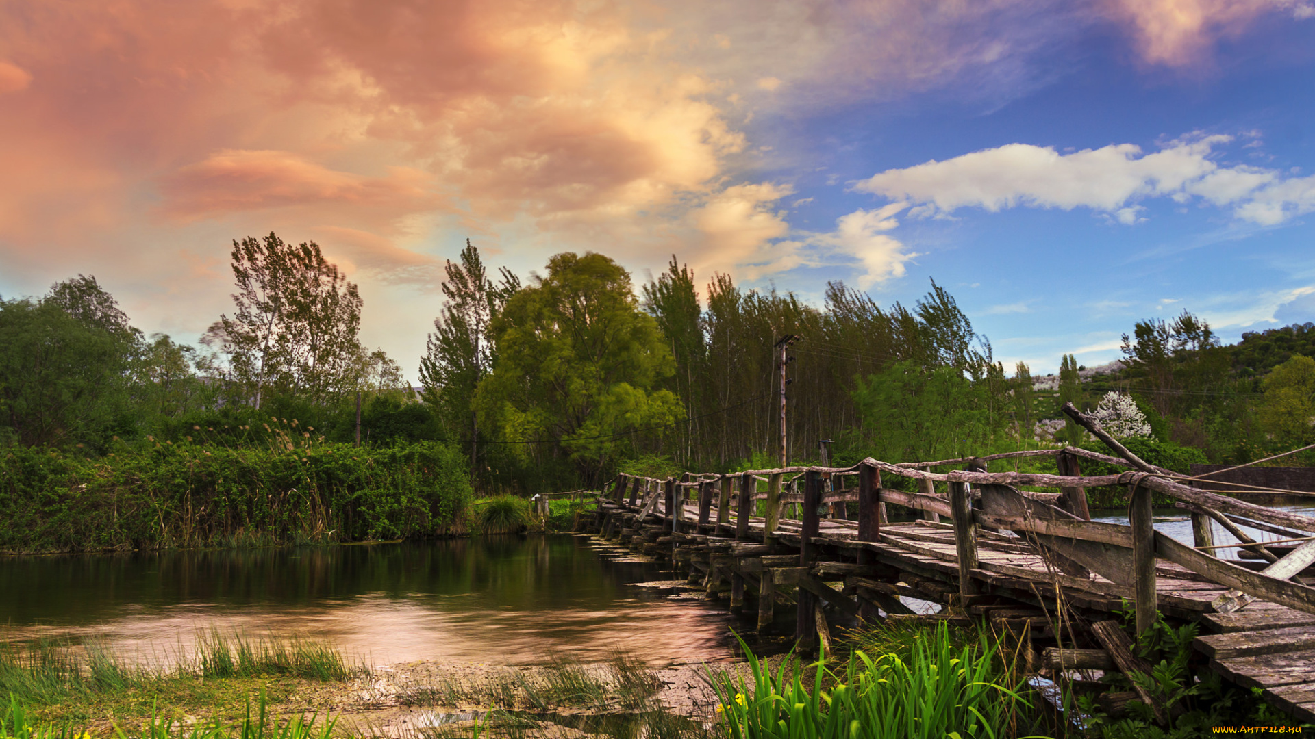 природа, реки, озера, река, лес