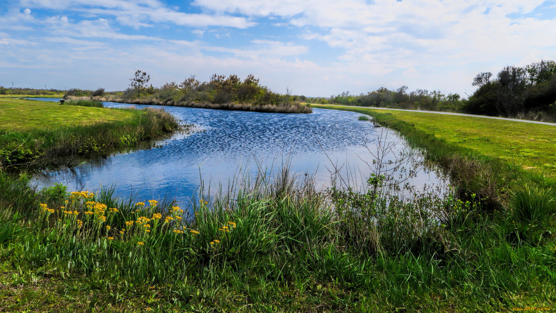 природа, реки, озера, река, лес