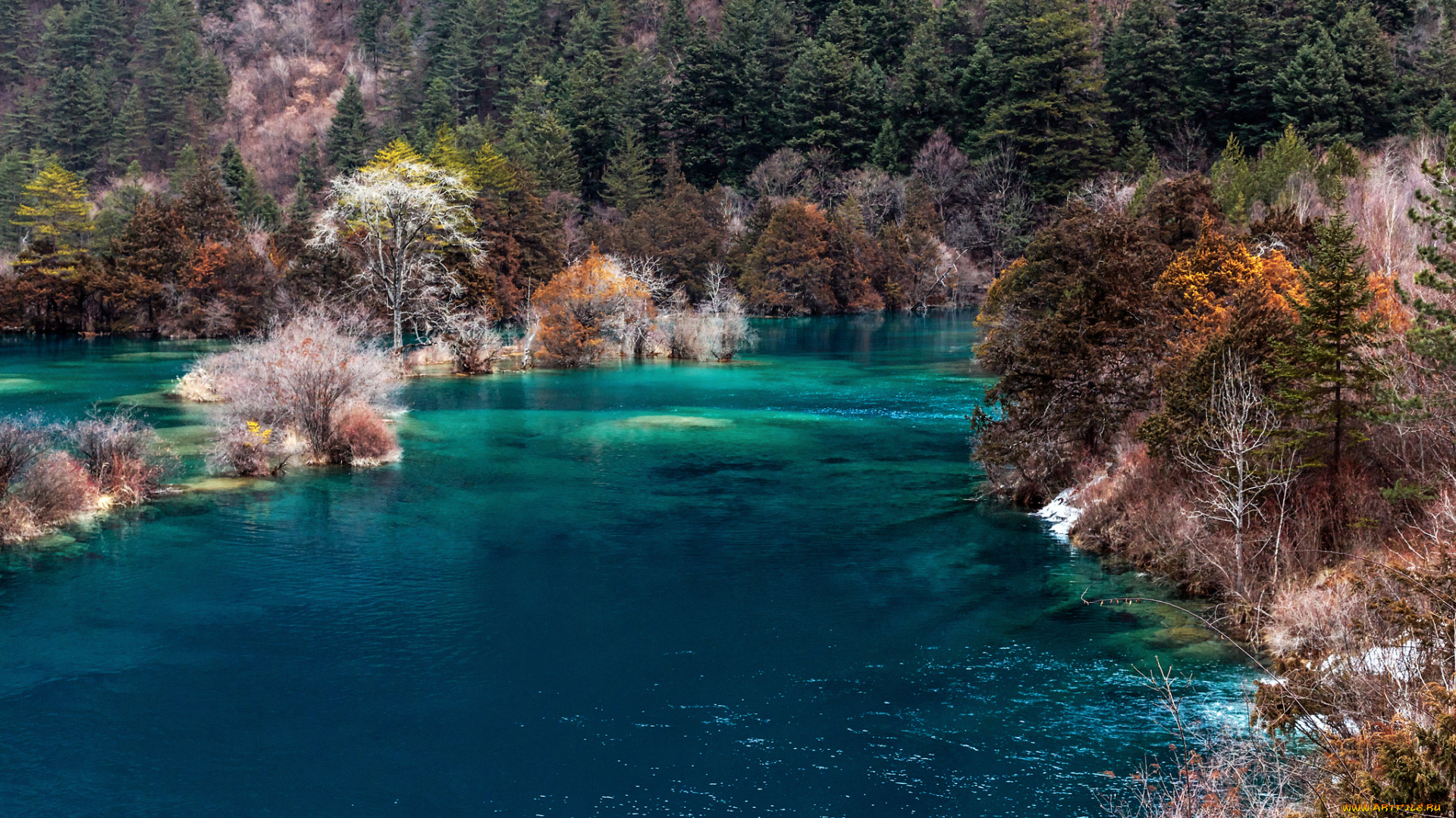 природа, реки, озера, река, лес