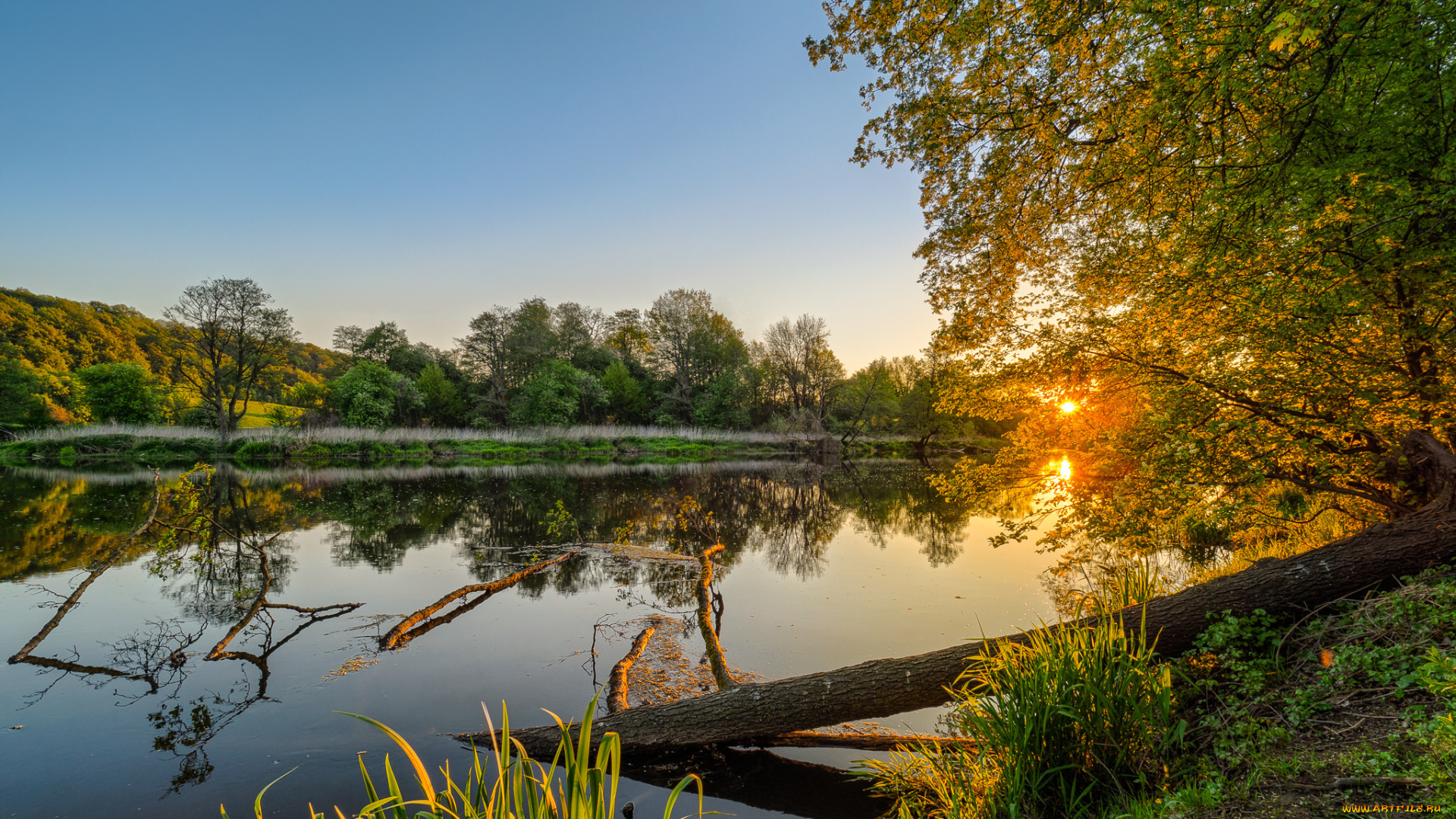 природа, реки, озера, река, лес