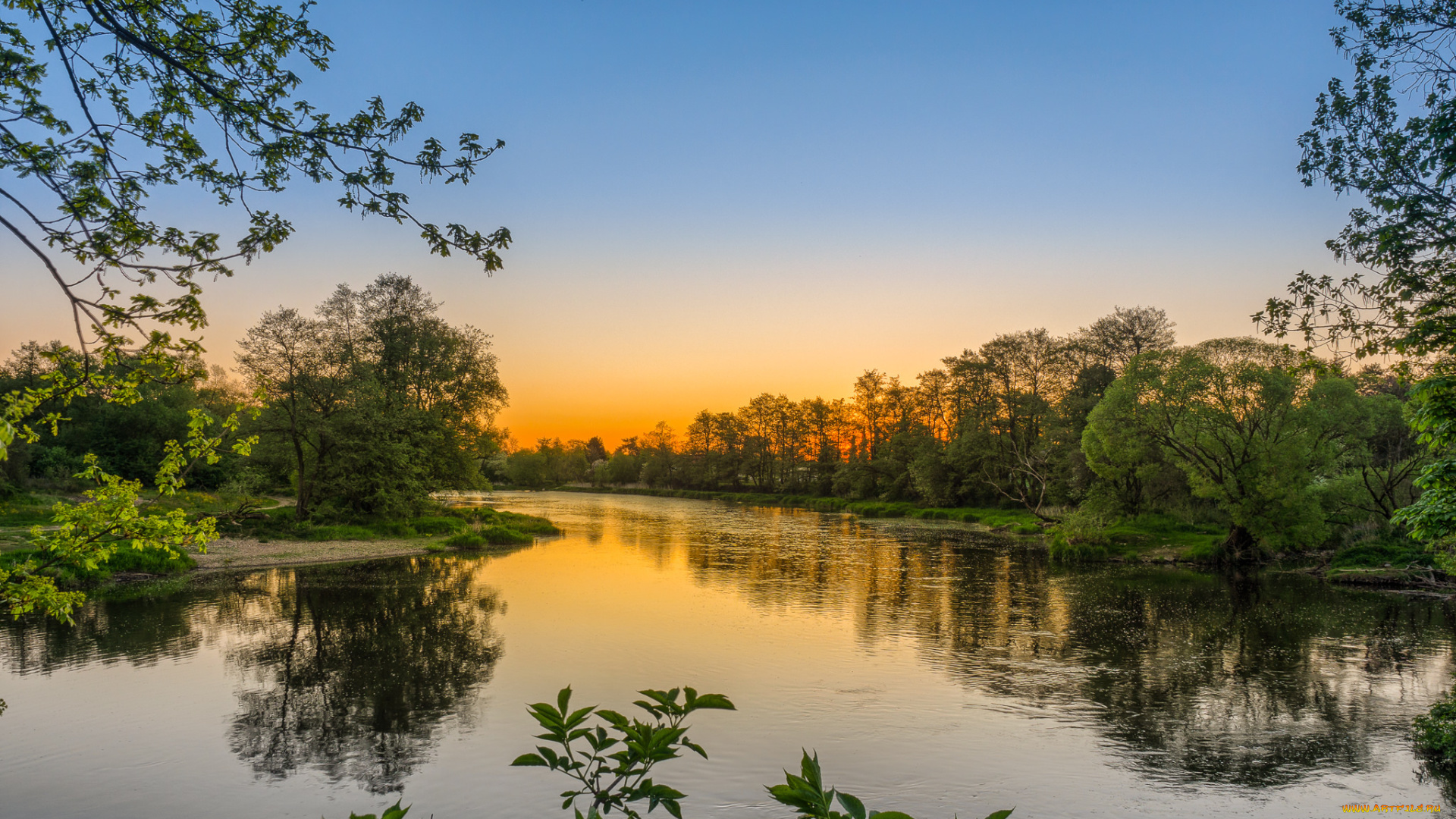 природа, реки, озера, река, лес