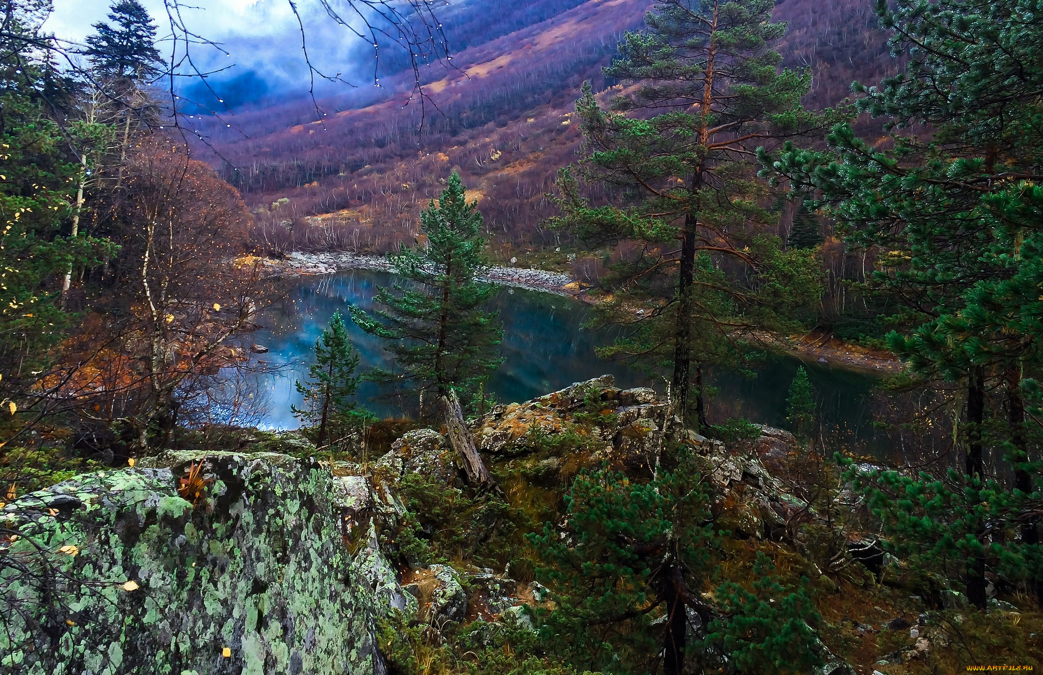 природа, реки, озера, лес, река