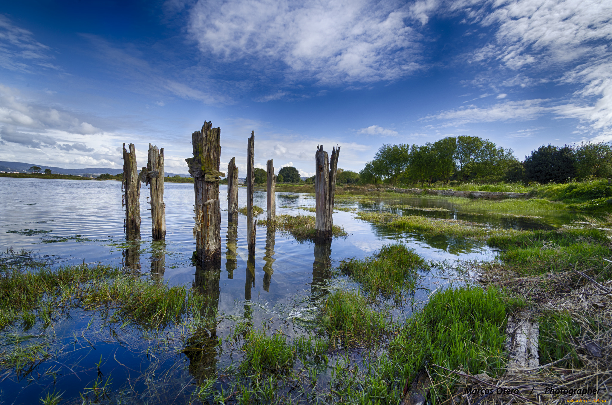 природа, реки, озера, лес, река