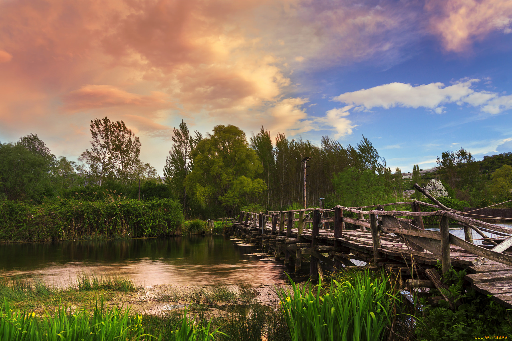 природа, реки, озера, река, лес