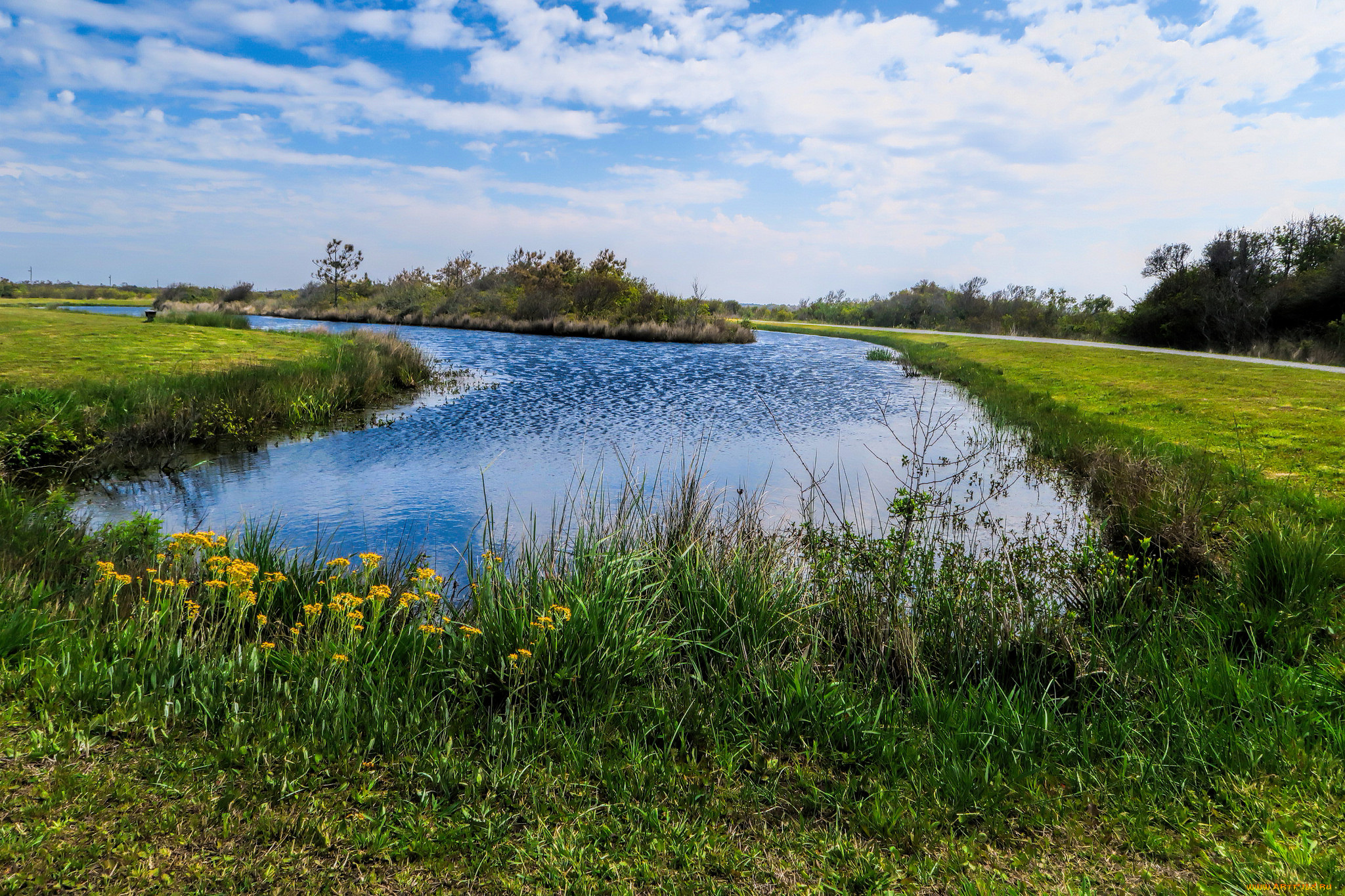 природа, реки, озера, река, лес